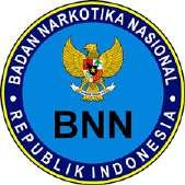 BNN logo